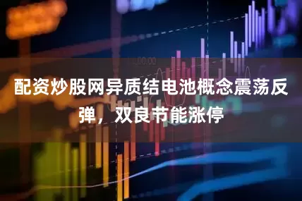配资炒股网异质结电池概念震荡反弹，双良节能涨停