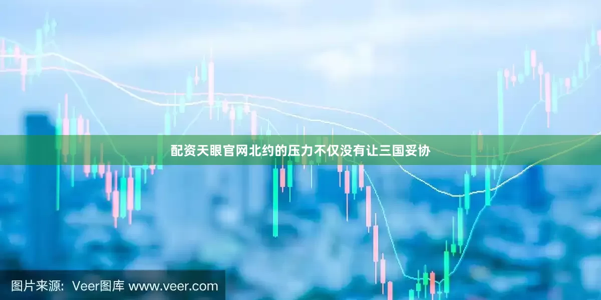 配资天眼官网北约的压力不仅没有让三国妥协