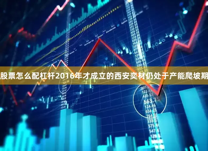 股票怎么配杠杆2016年才成立的西安奕材仍处于产能爬坡期
