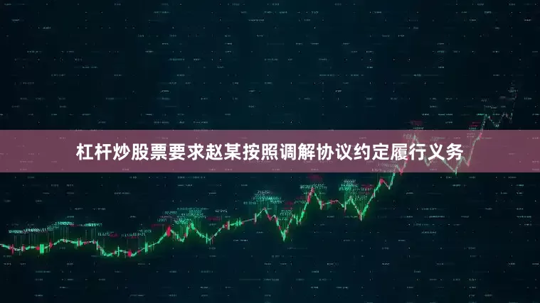 杠杆炒股票要求赵某按照调解协议约定履行义务