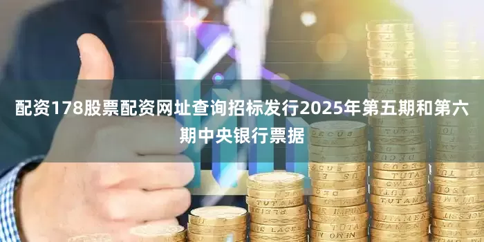 配资178股票配资网址查询招标发行2025年第五期和第六期中央银行票据