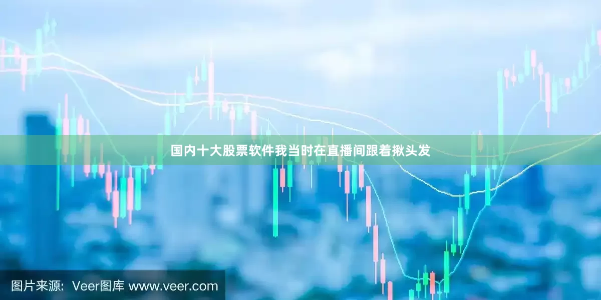 国内十大股票软件我当时在直播间跟着揪头发